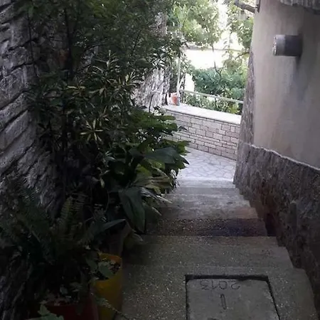 Zani * Gjirokastër