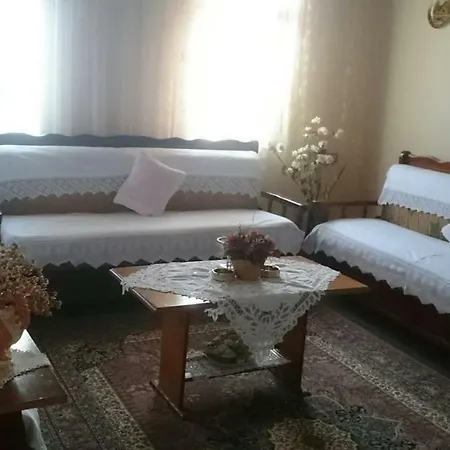 Zani Gjirokastër